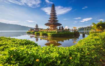 bali-nn